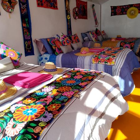 Uros Titikaka The Best Lodge Puno Exteriör bild